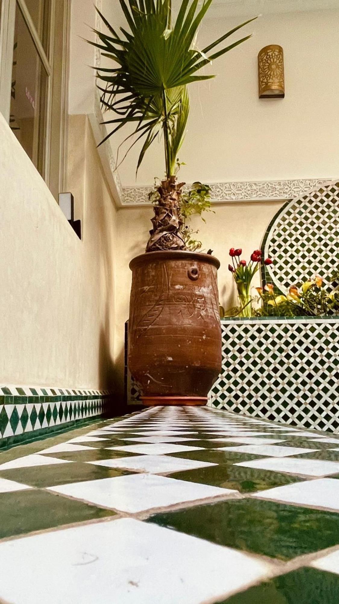 Riad Magnolia&Spa マラケシュ エクステリア 写真